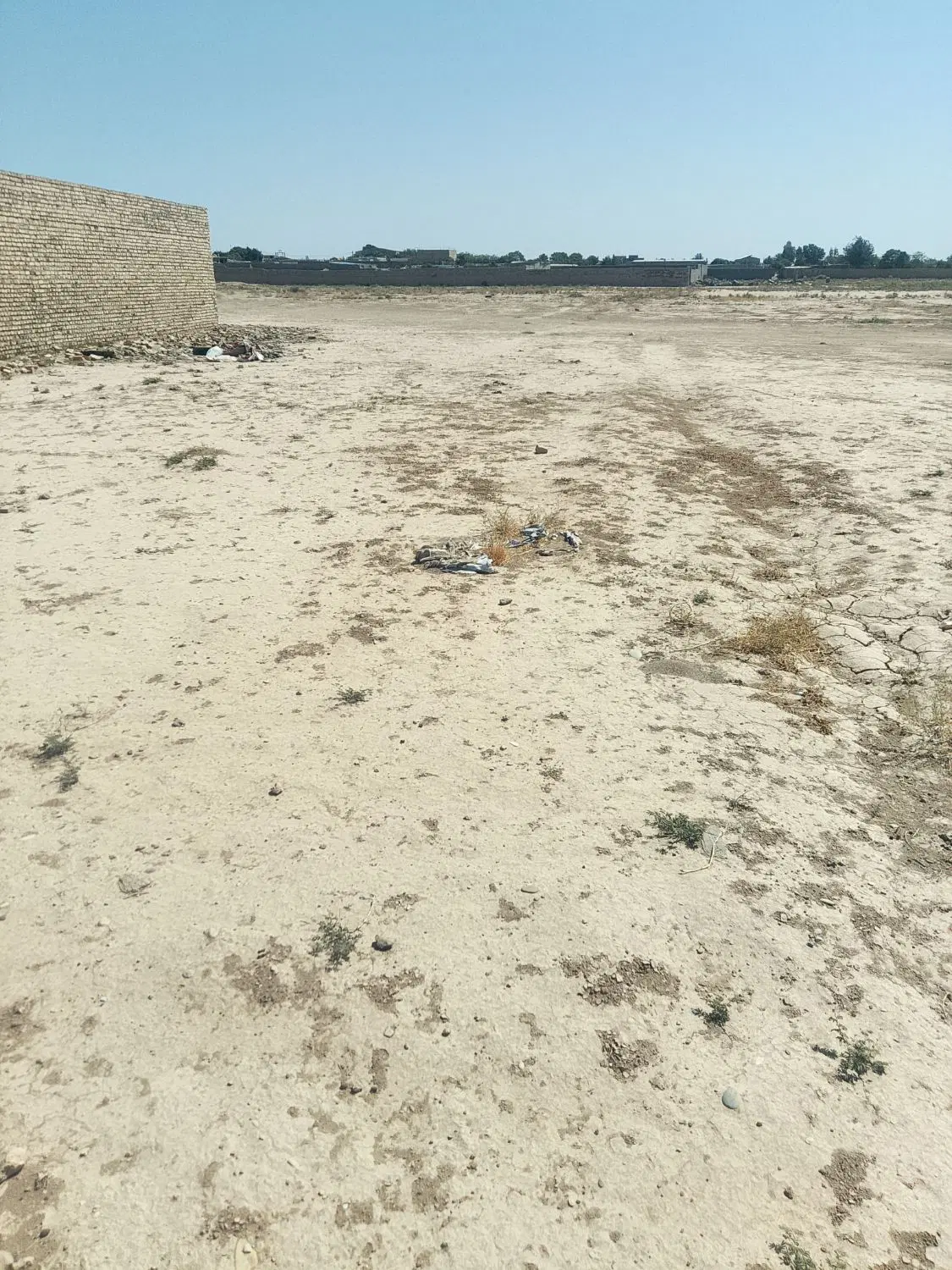 زمین باغی ایجدون