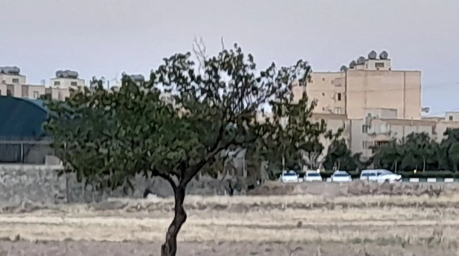 زمین فروشی باسند روبه رو شهرک امین بر اتوبان