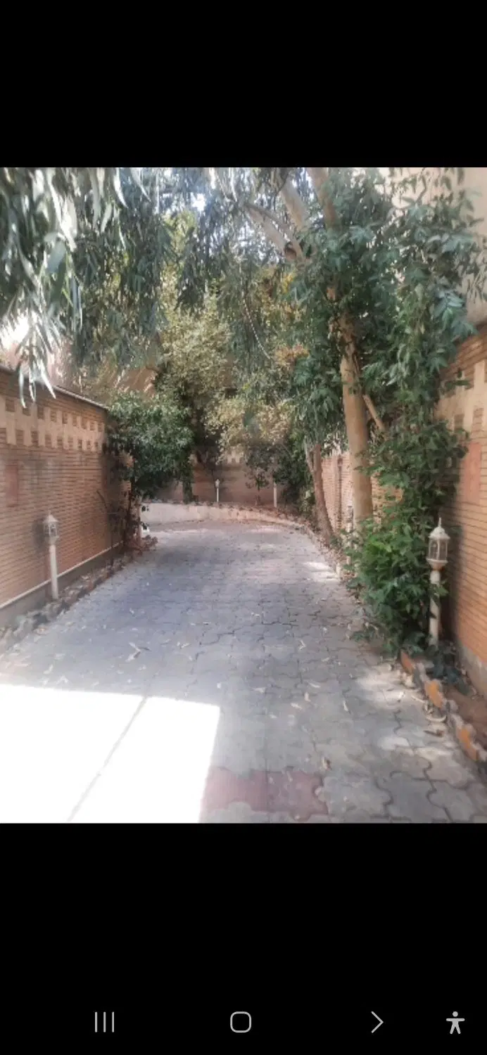 زرکش رو به آفتاب
