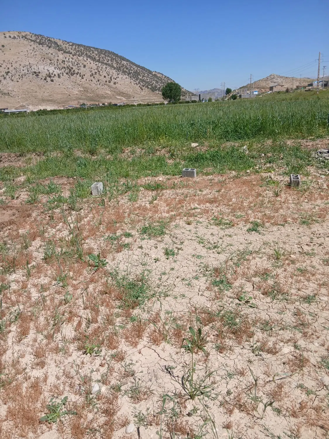 زمین مسکونی حسین آباد دشتروم