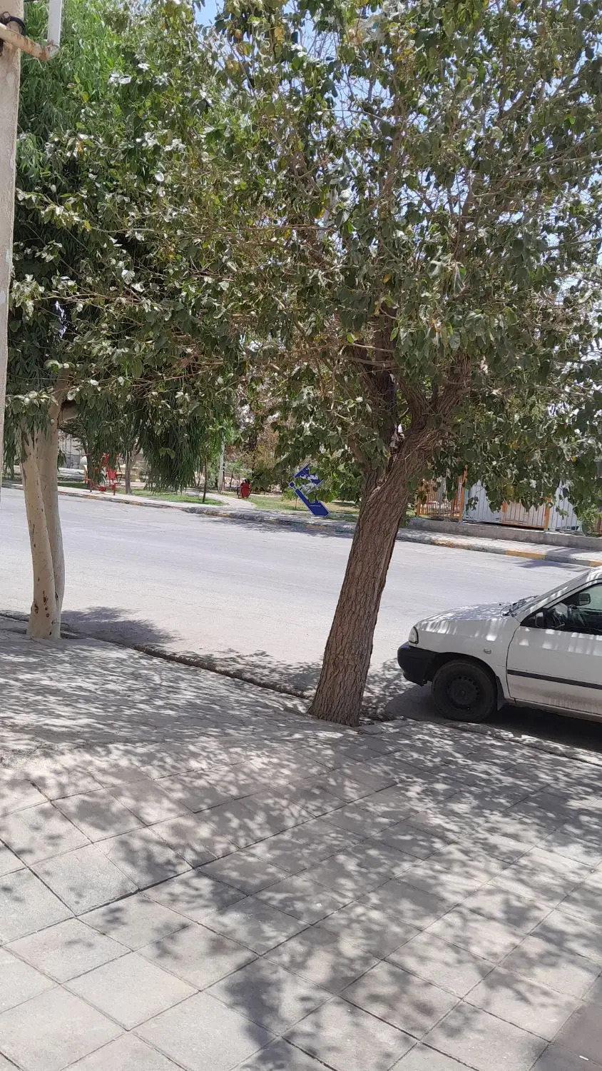 مغازه ۱۸ متری واقع در آزادی ۲۹