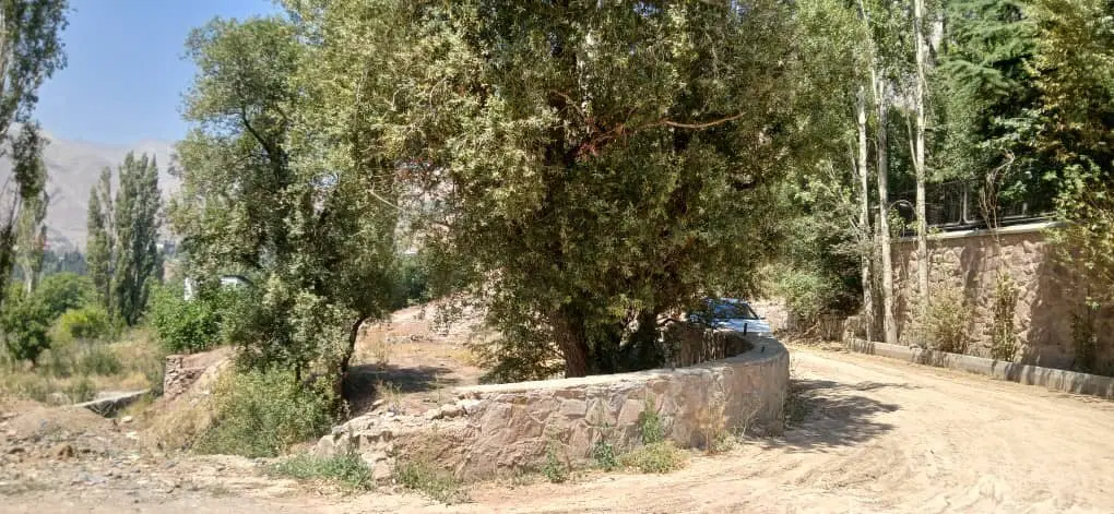 زمین  باغ میگون نو