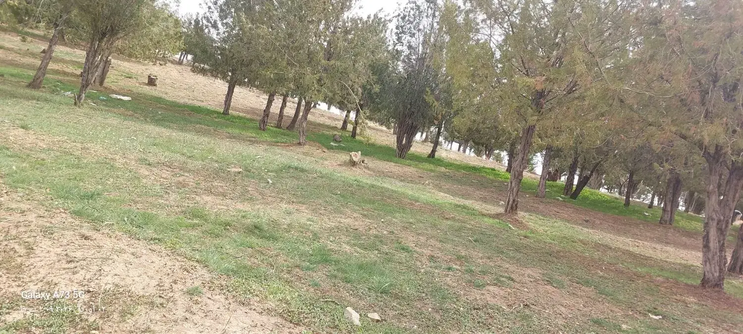 زمین زراعی و باغی