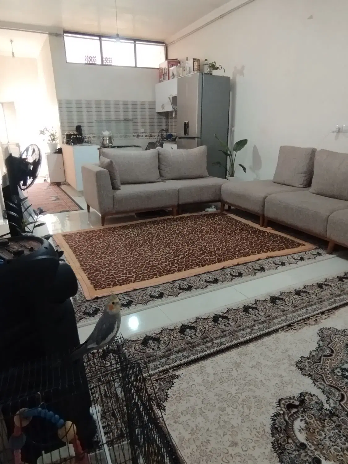 یک واحد خانه تمیز و شیک و نقلی واقع در صمدزاده