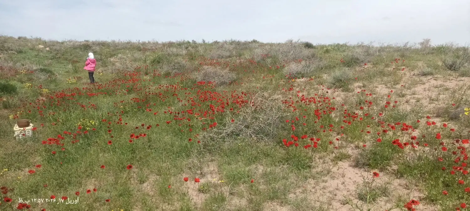 زمین فروشی