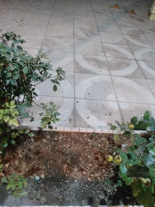 فروش زمین فاز۲ ملک زاده