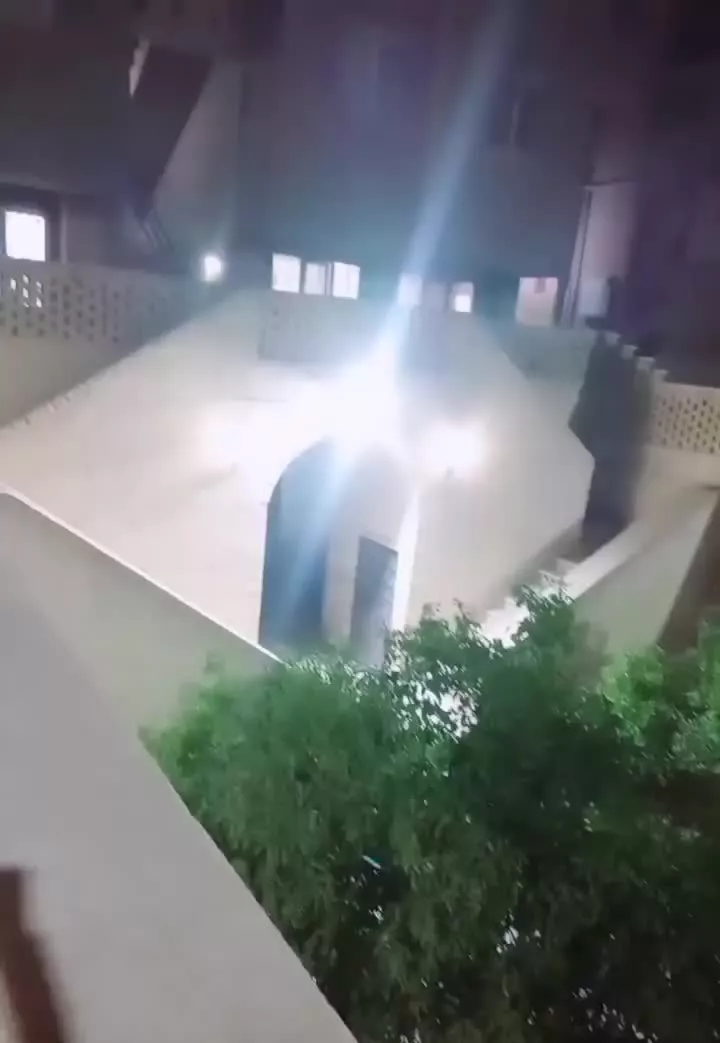 شخصی ساز سلمان همسایگان کویر