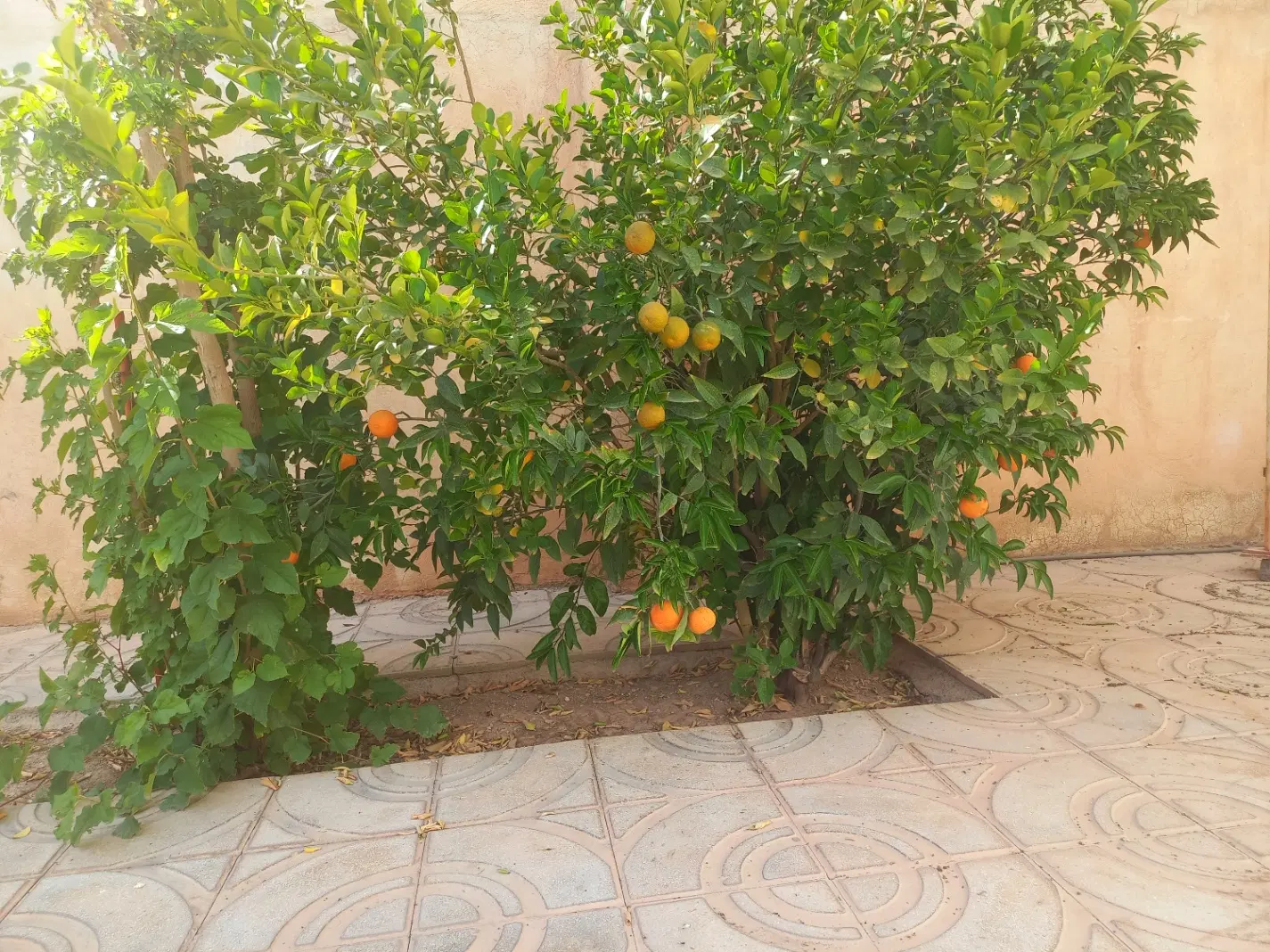 اجاره یک واحد منزل مسکونی