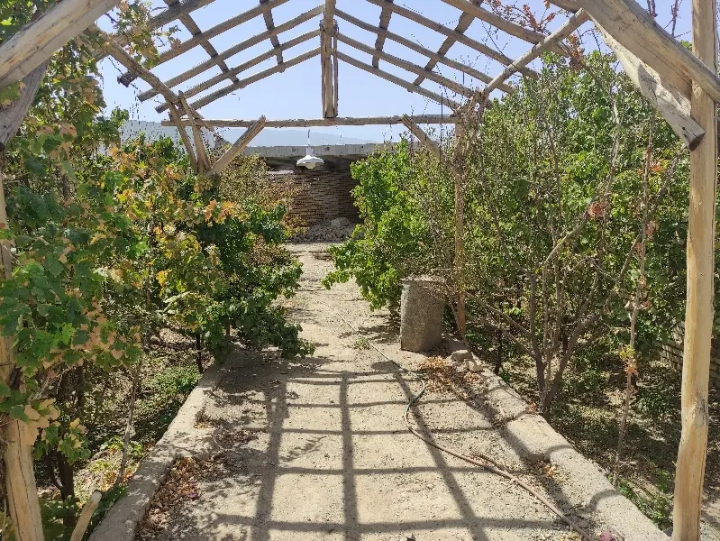 باغچه فین بزرگ