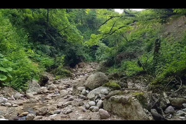 فروش باغچه