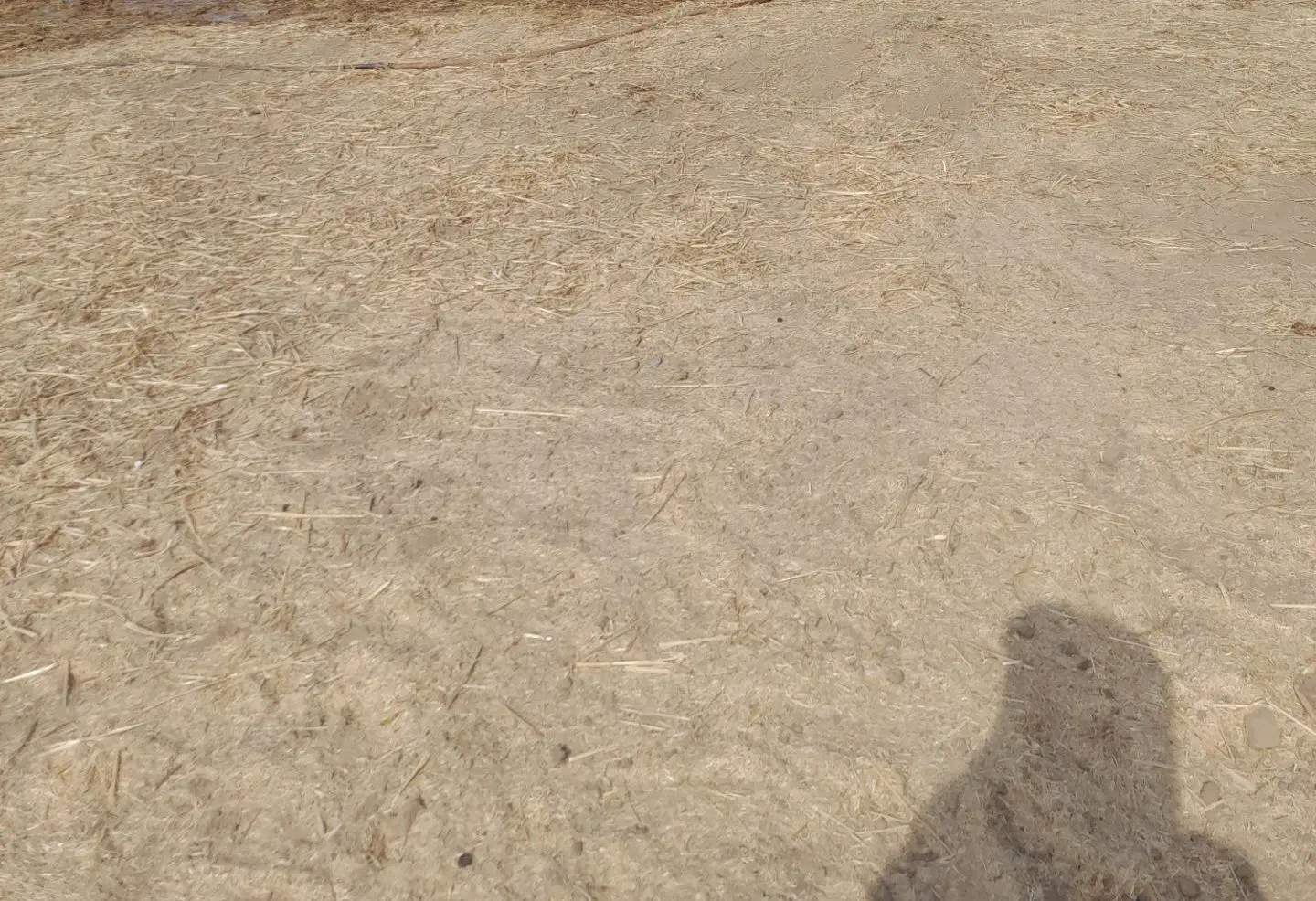 زمین  سی متری تاجوک