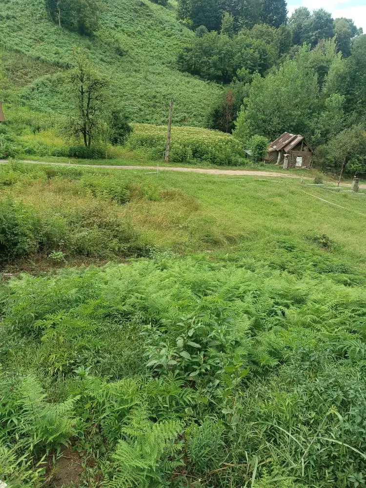 فروش زمین مسکونی