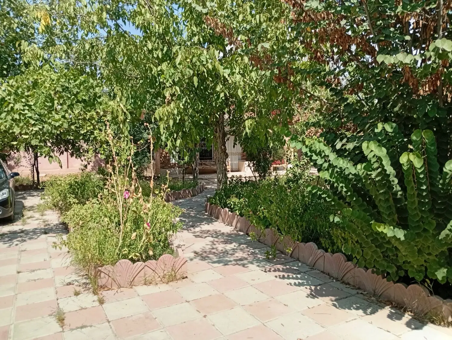 باغچه سرسبز