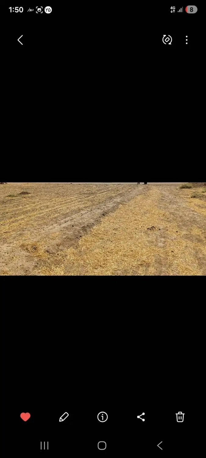 زمین مسکونی