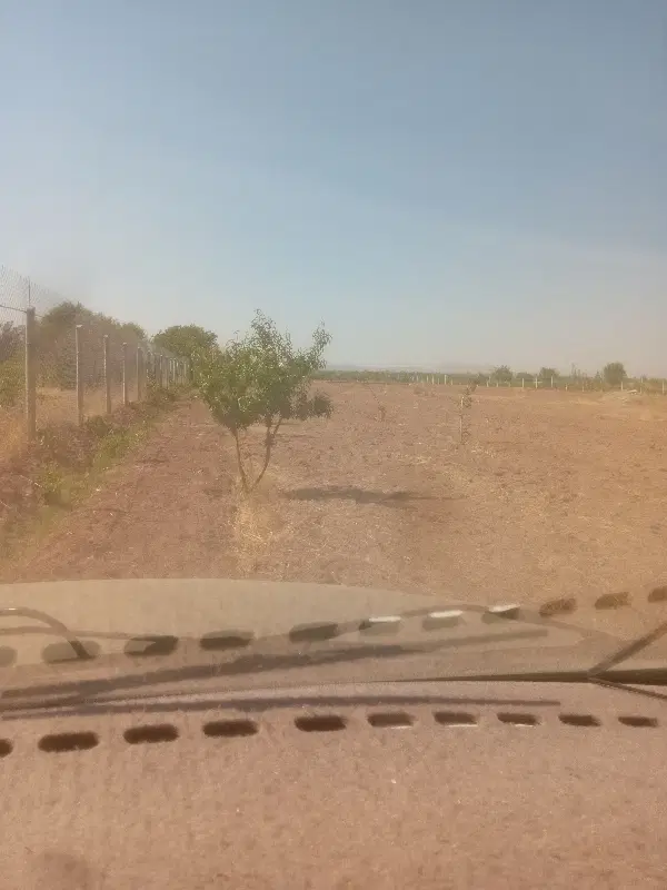 زمین مسکونی