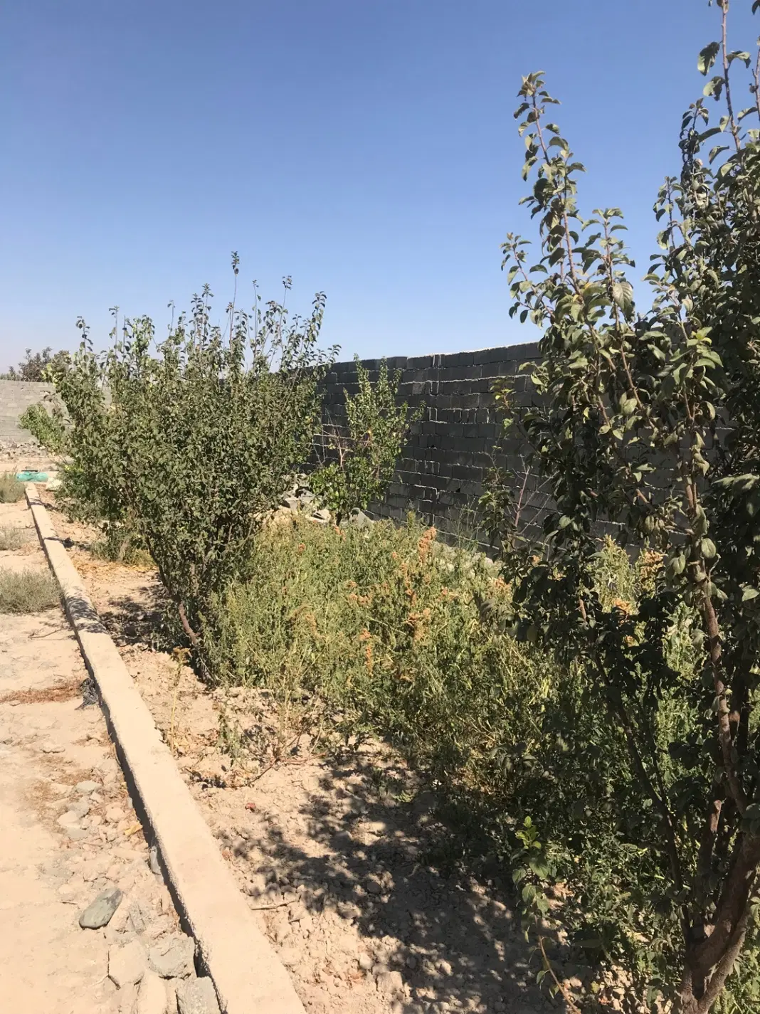 ۶۳۰ متر سندتک برگ عرصه عیان شهریار دهشاد بالا