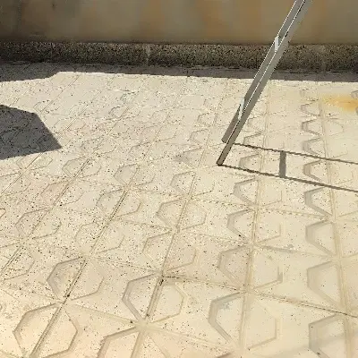 سه هکتار زمین دیم کشاورزی