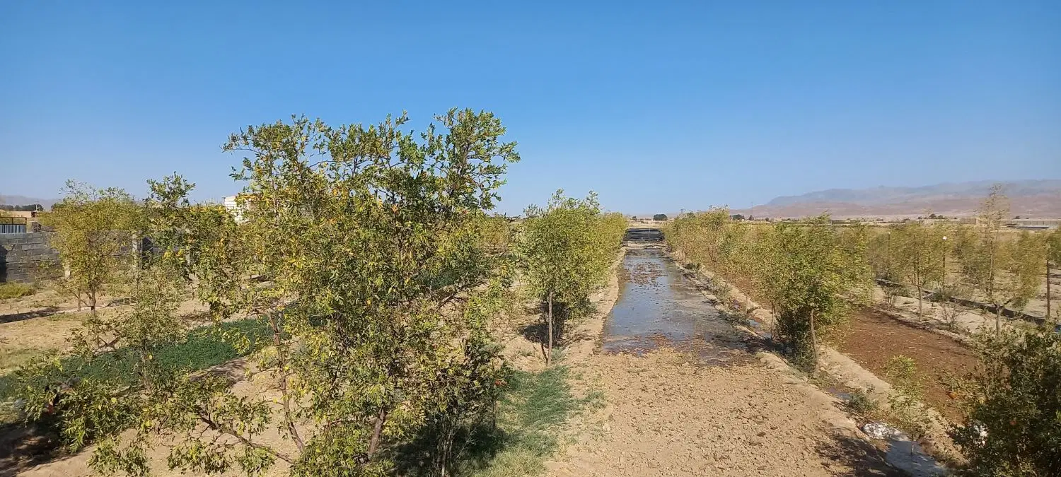 قسطی باغدار شوید