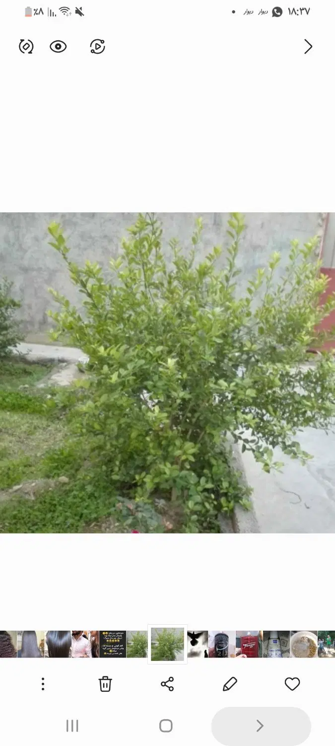 منزل ویلایی روستا ابشرین رهن کامل