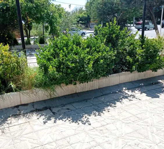 مغازه تجاری ۱۴ متری