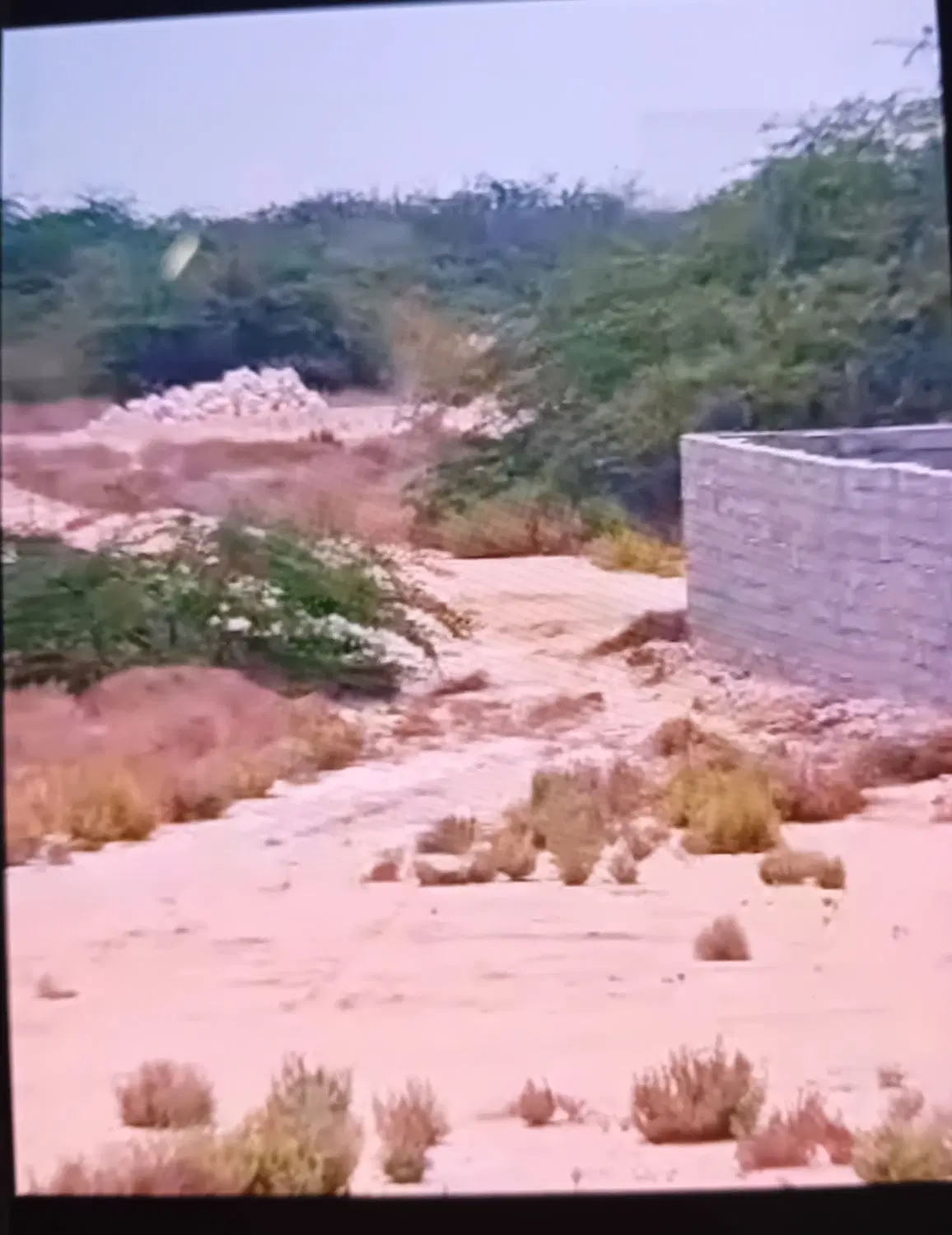 فروش زمین ۳۲۲ متری طولا
