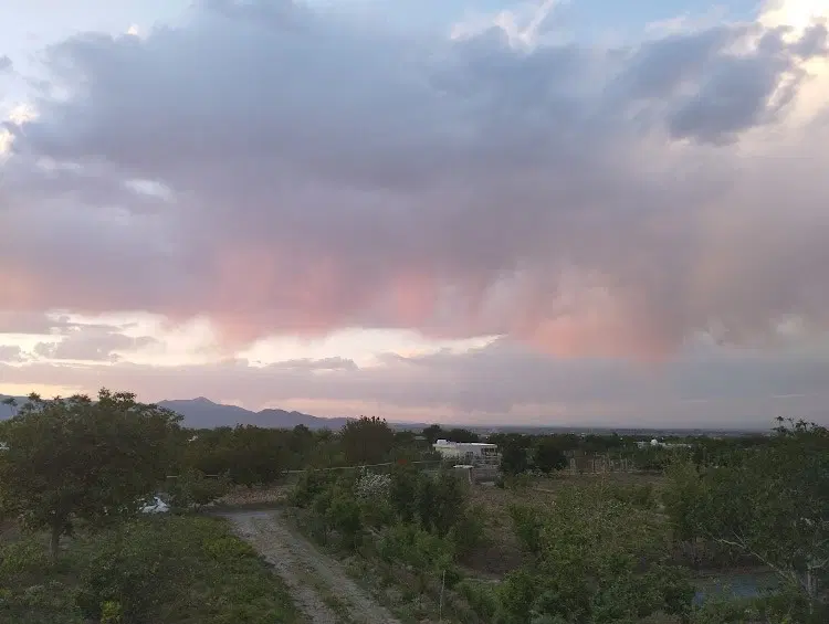 باغ مرزیجران