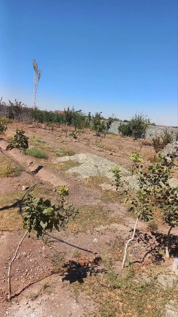 فروش باغ