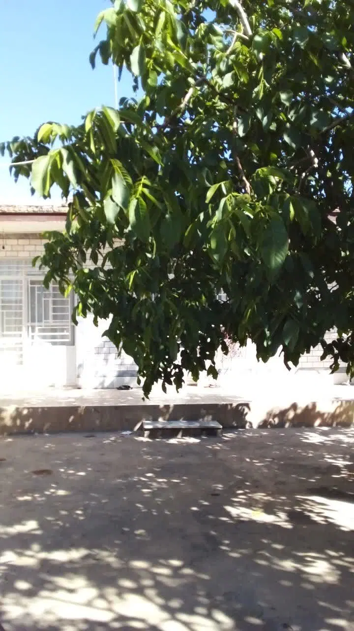 اجاره ویلا لب آب با بهترین ویو آب