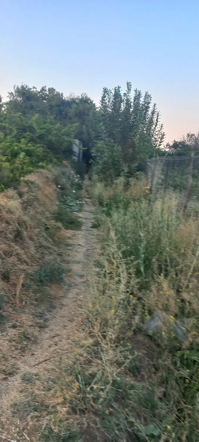 باغ انگور 400متری حیدربالای شهر