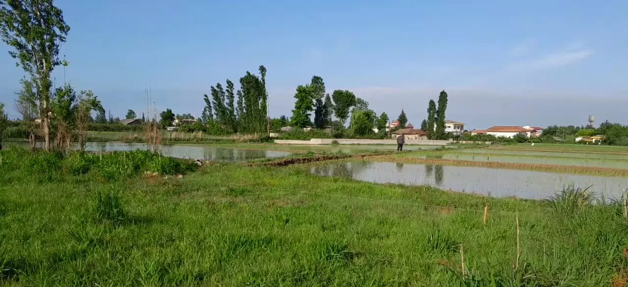 فروش ملک