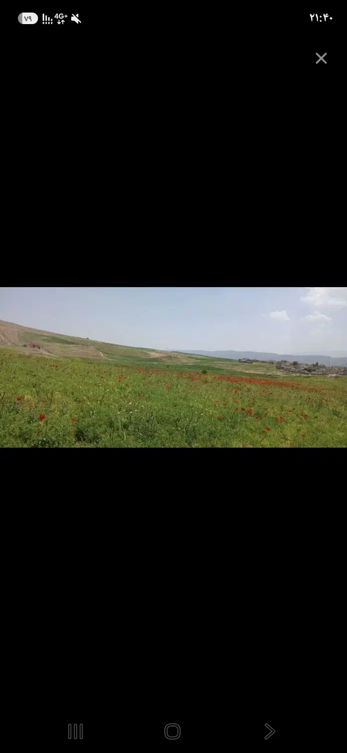 زمین کشاورزی هفت چشمه
