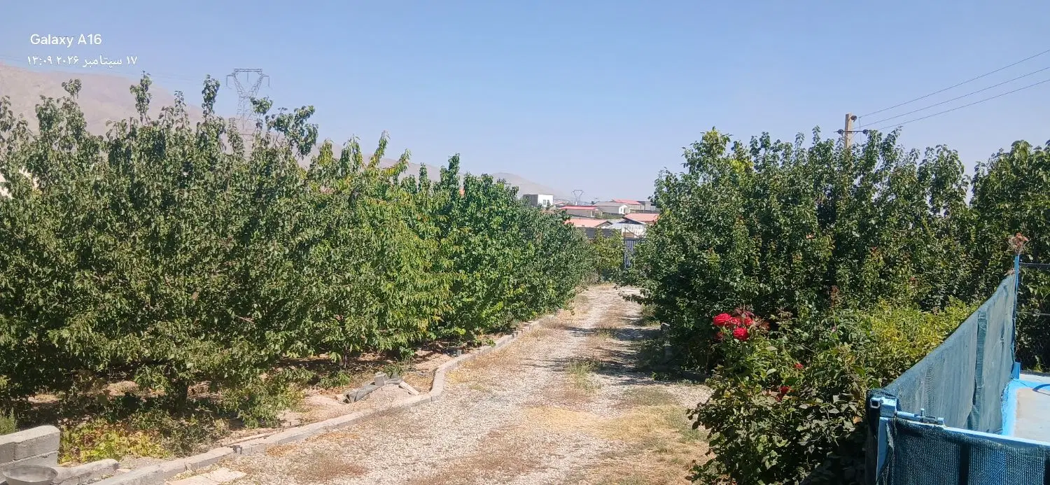 زمین _مزرعه_ویلا استخردار_باغچه _دیوارکشی
