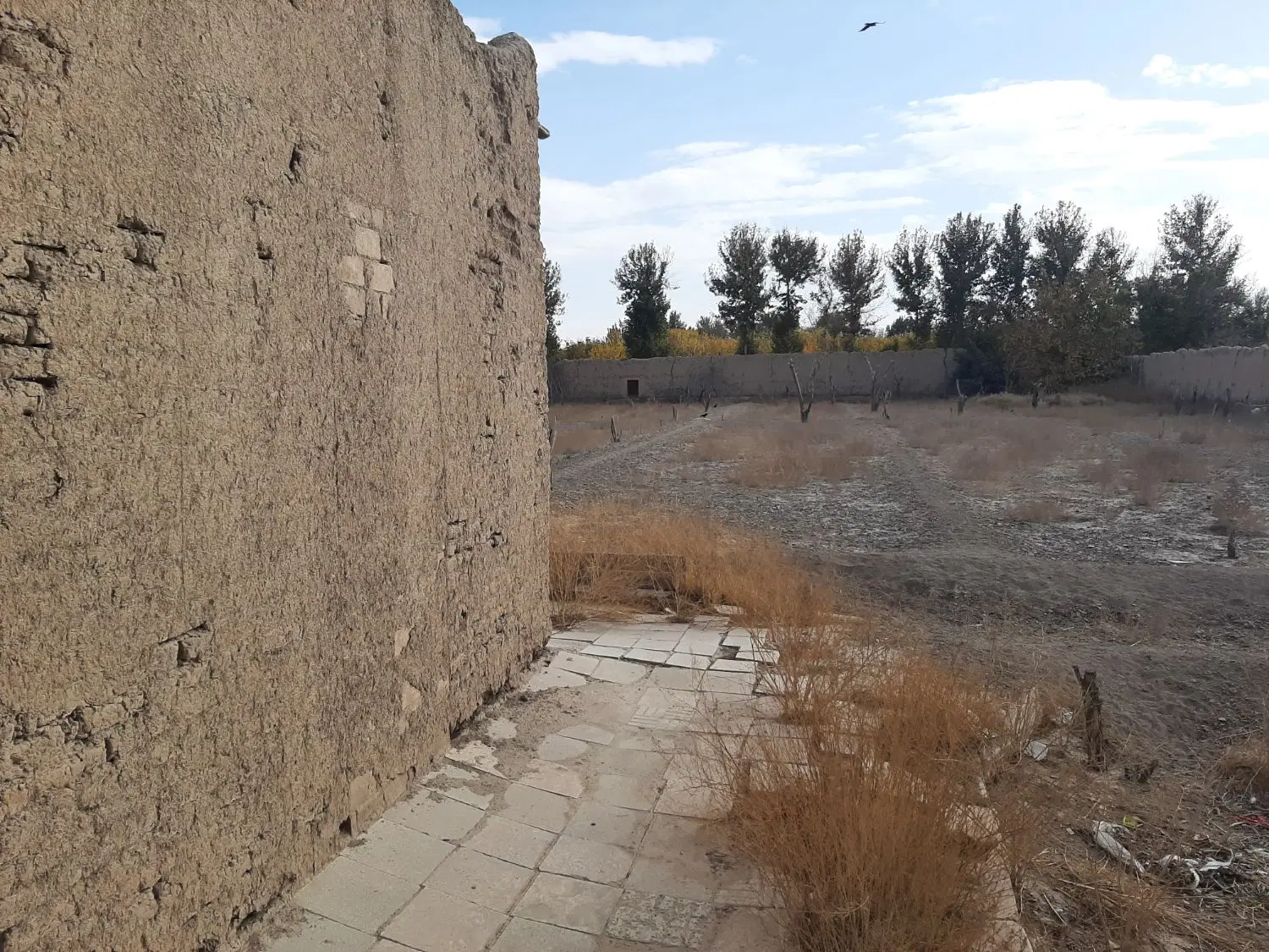 باغ چهاردیواری دیواری سند شش دانگ