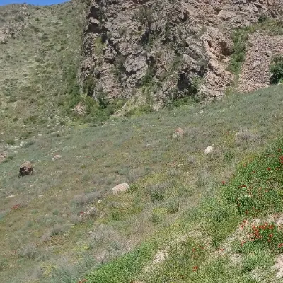 خانه ویلایی کلنگی قدیمی