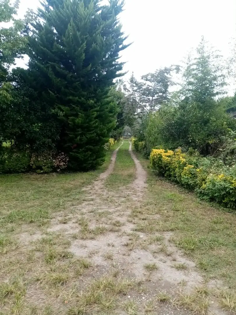 باغ ویلا اجاره سالیانه