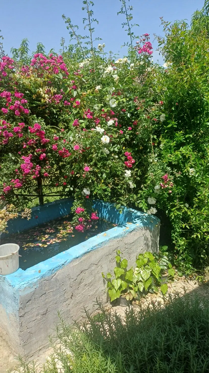 خانه  باغ  بسیار زیبا در شموشک سفلی