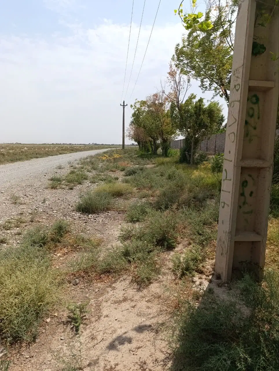 زمین باغی