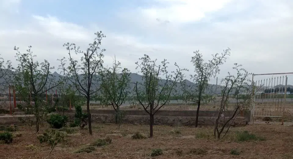 باغ کشاورزی