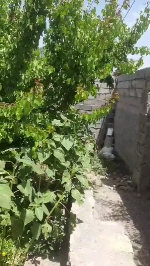 اجاره ۲۵۰ متر ویلایی دربست