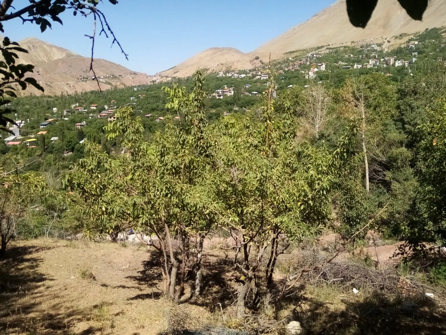 لواسان امامه