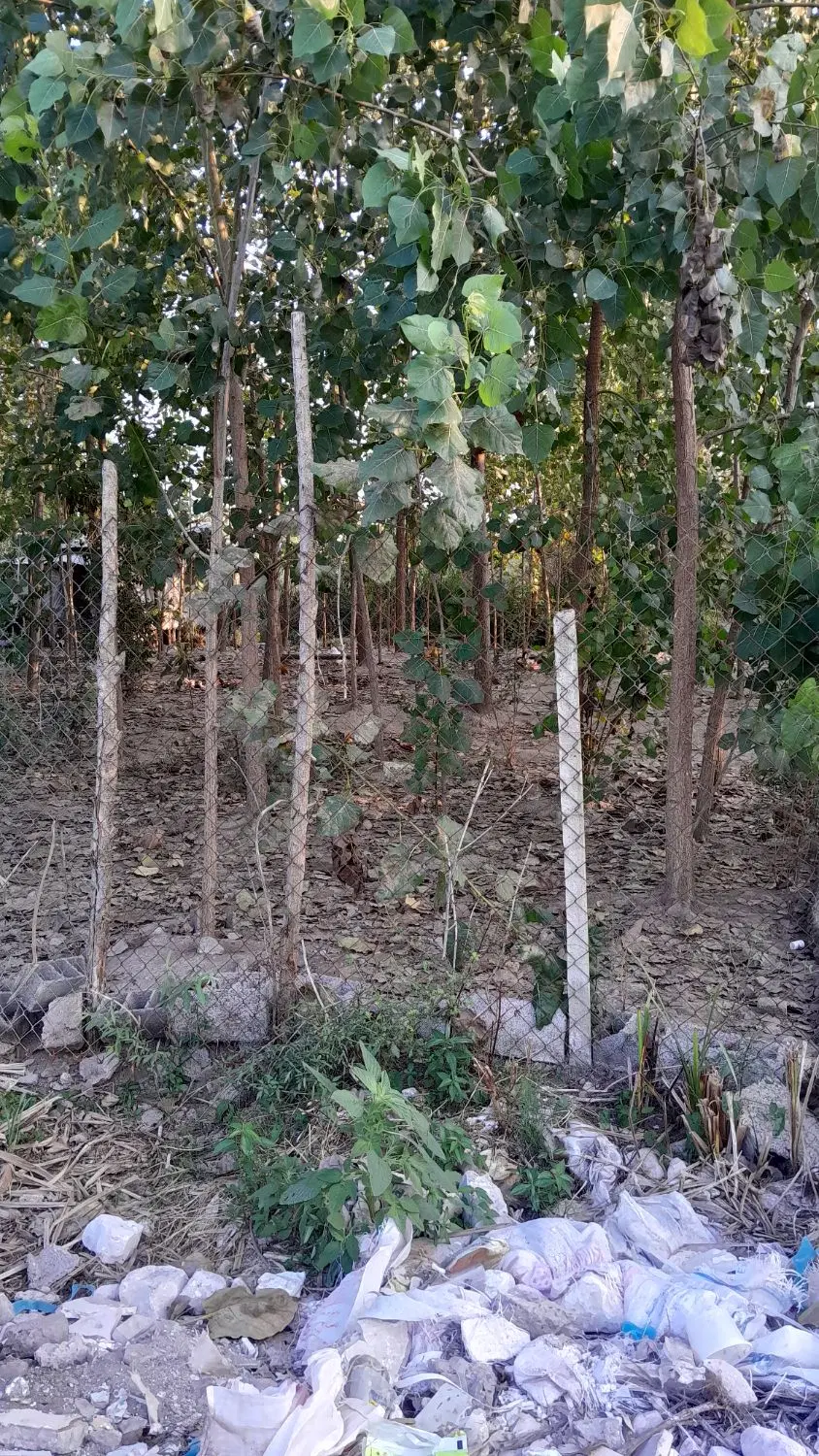 زمین مسکونی