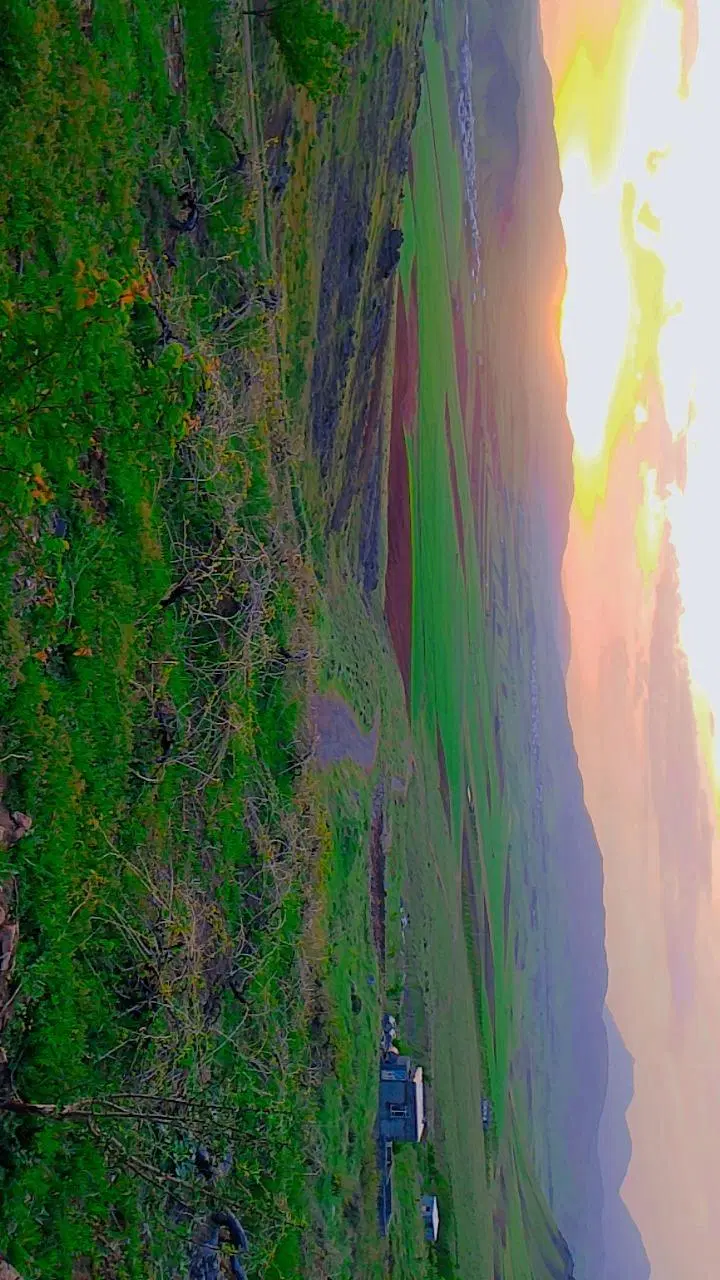 باغ در روستای قشلاق