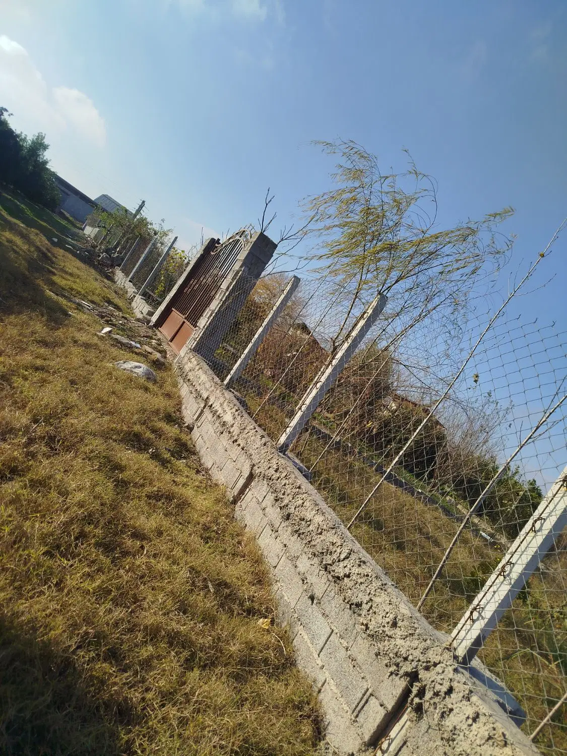 باغچه فروشی