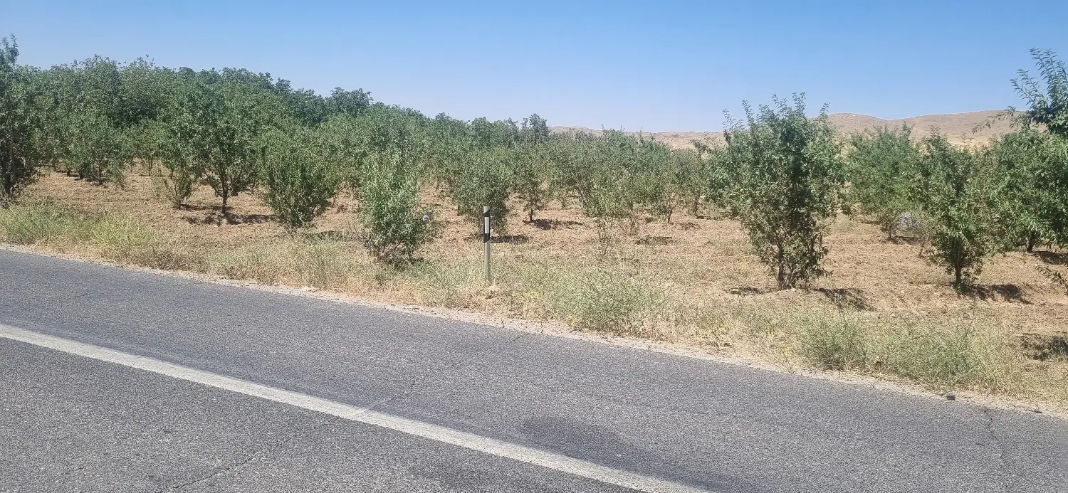 فروش باغ تجاری