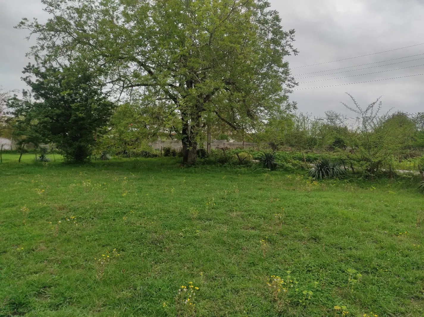 زمین مسکونی در شهرک خودبچر