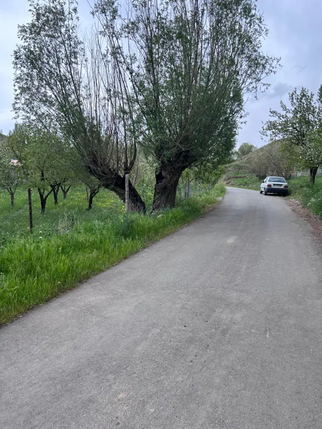 باغ در اسپیران
