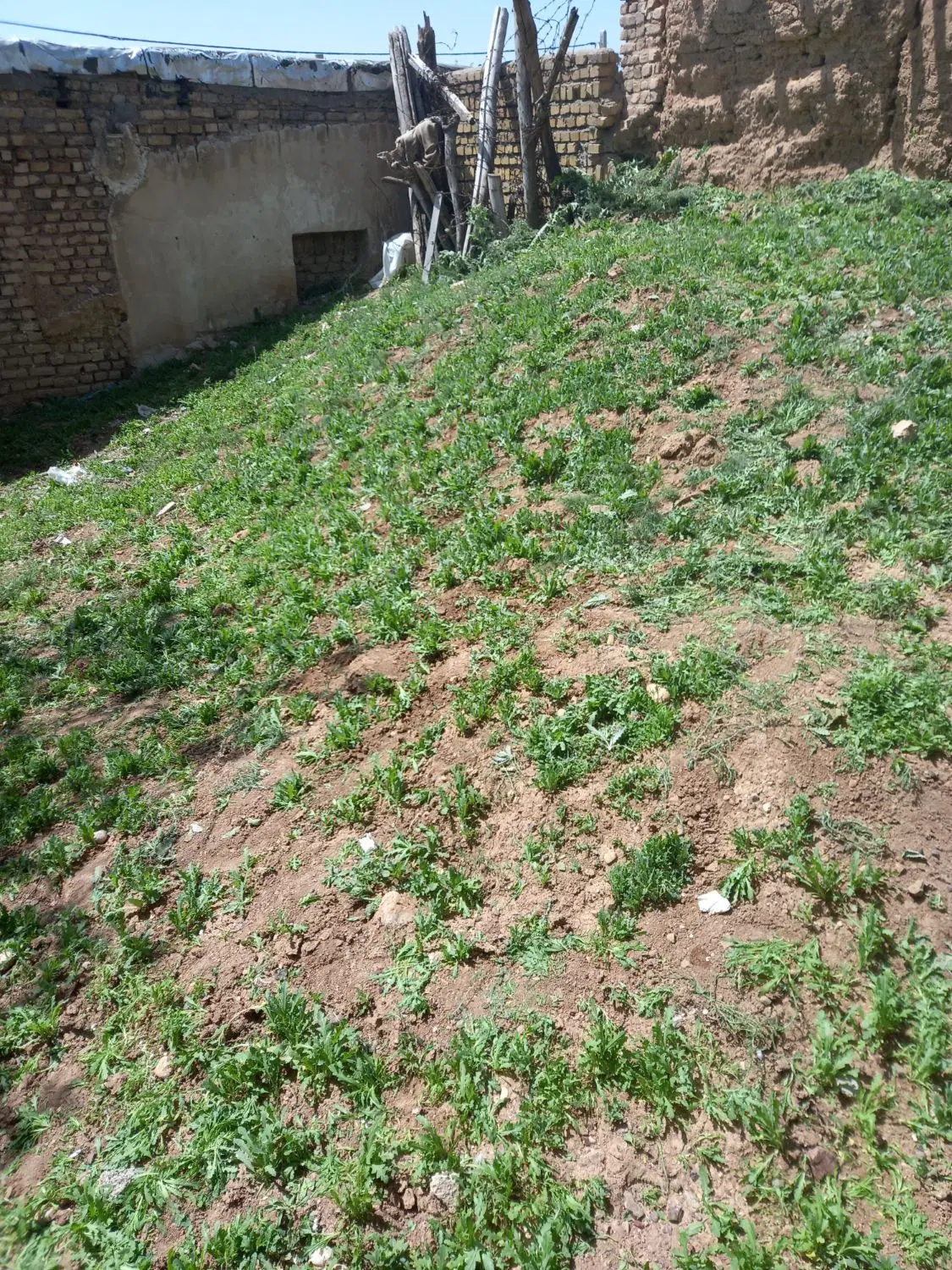 زمین ساختمانی