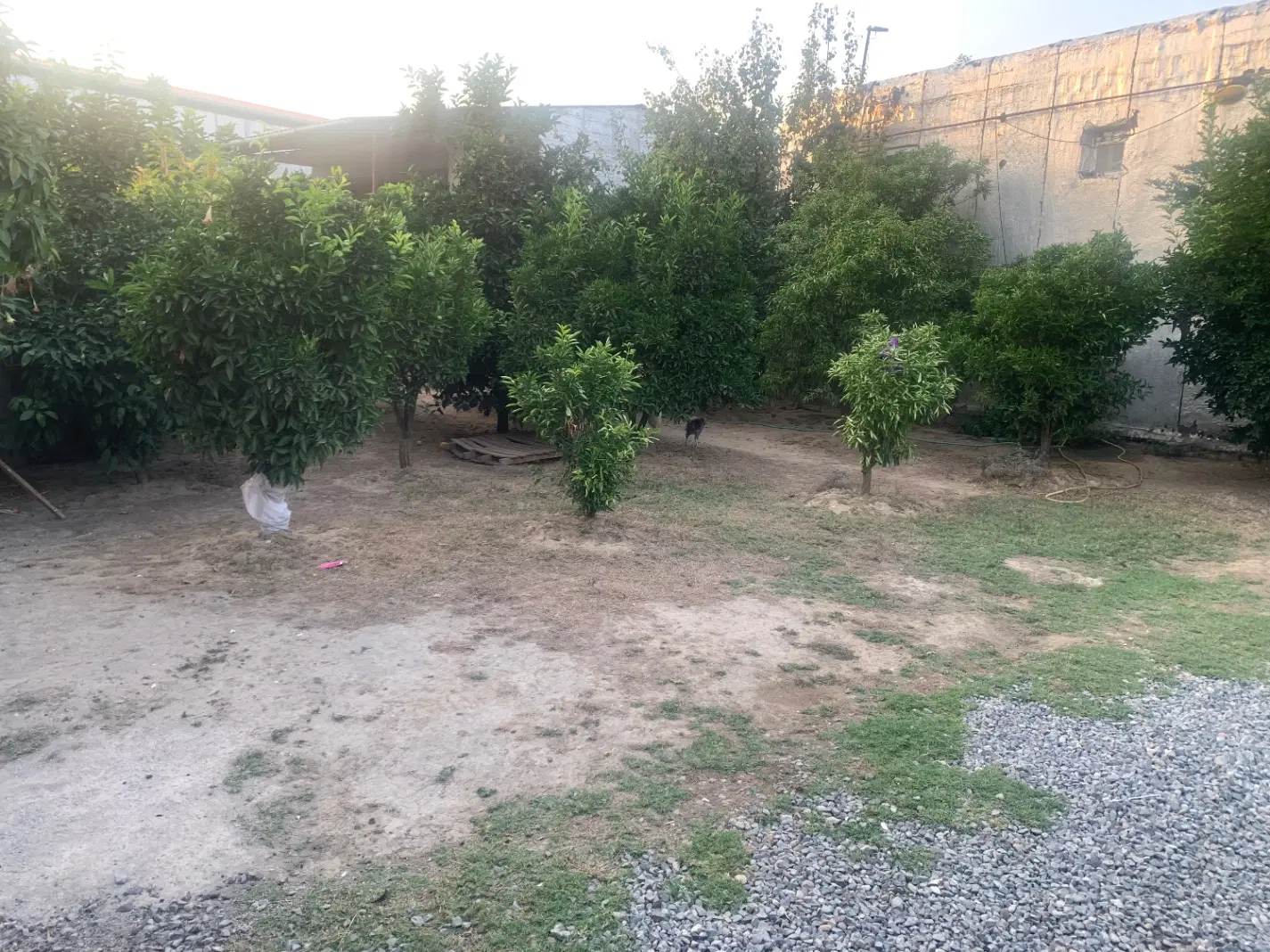 فروش خانه