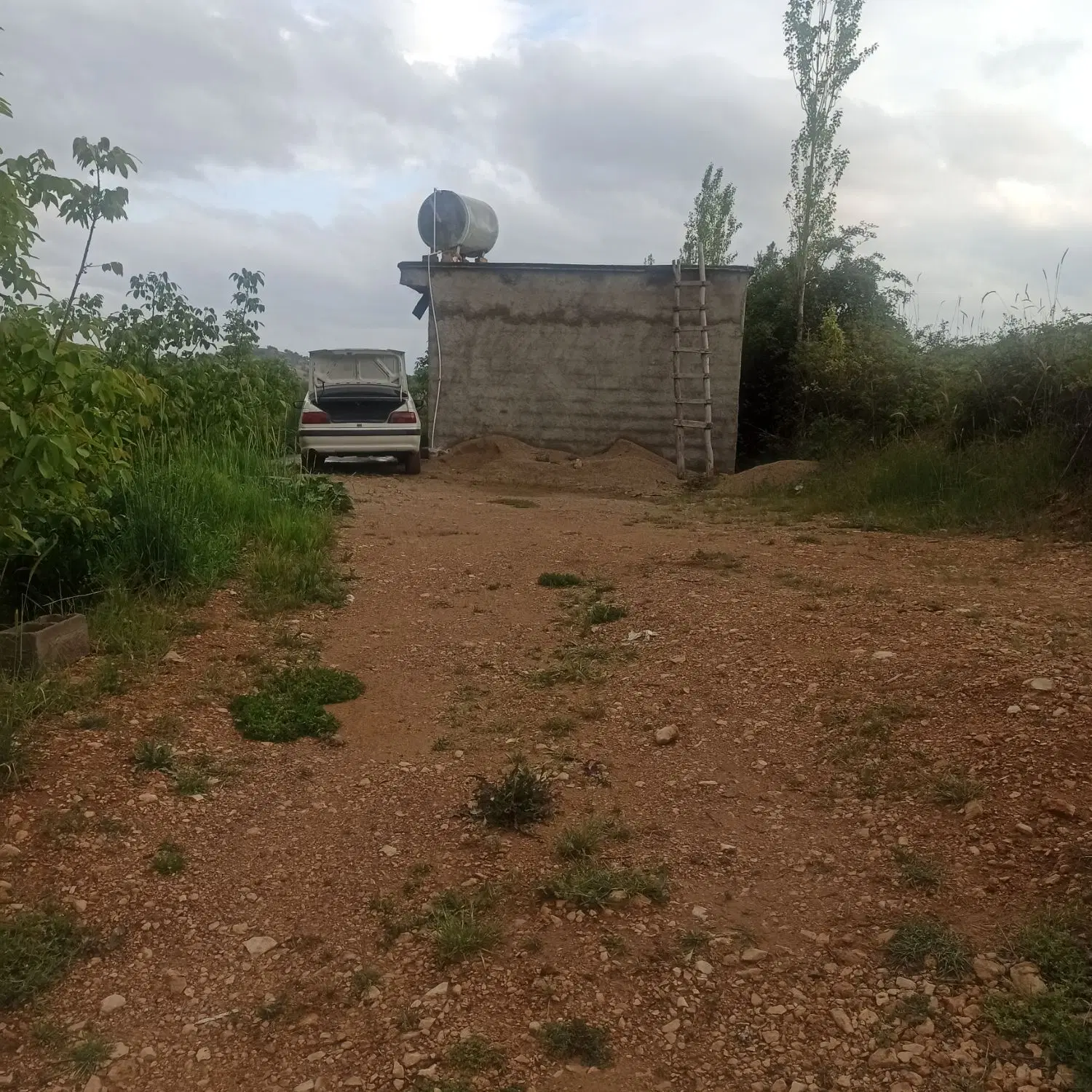 باغ گنجه ای کهنه