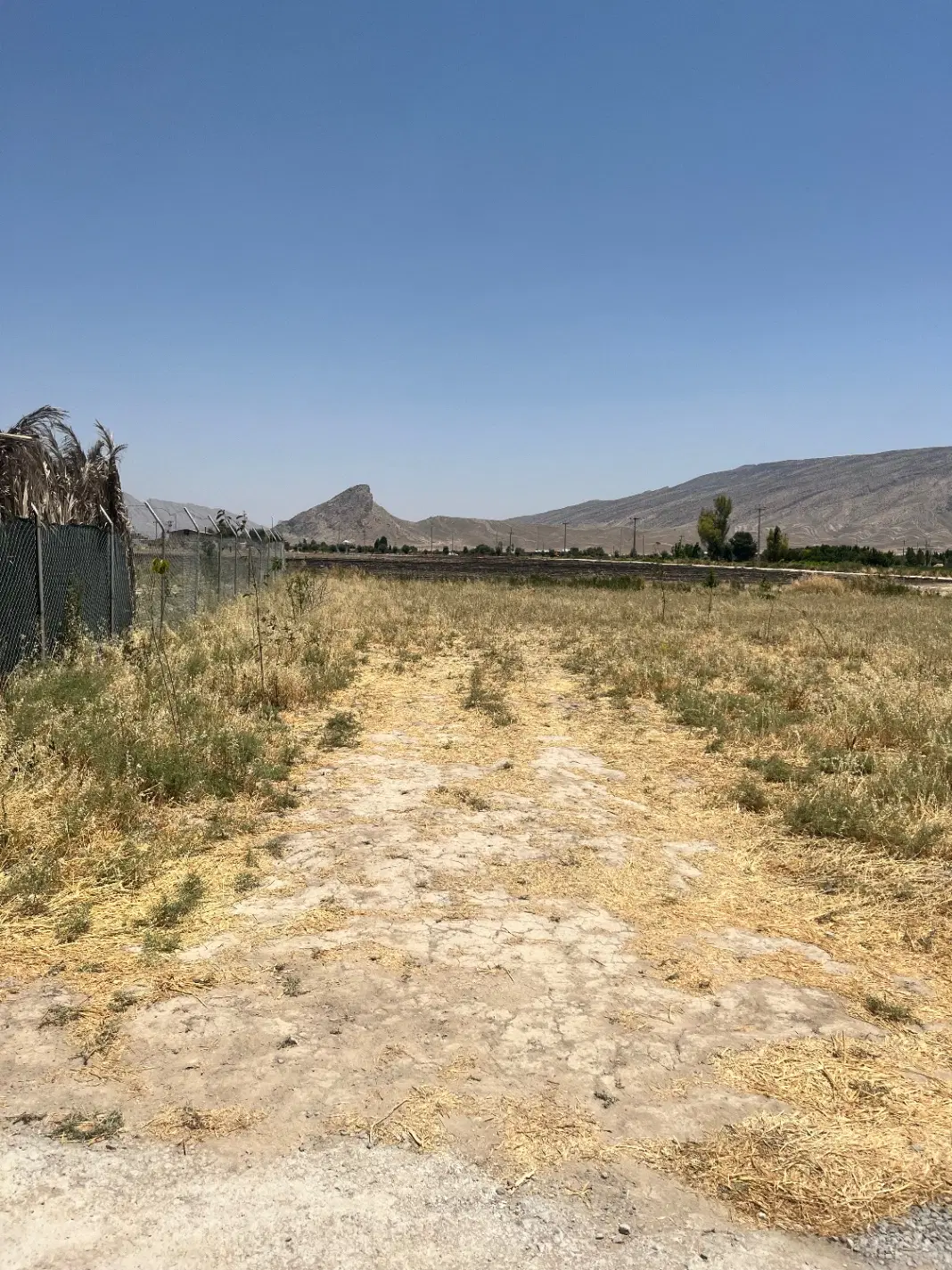 فروش زمین مخصوص باغشهری درواقع بلوار دانشگاه ازاد